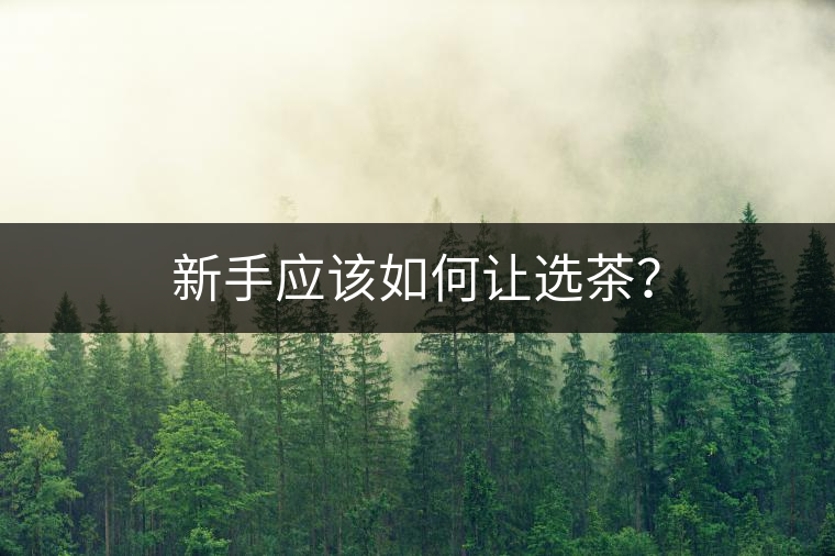 新手應該如何讓選茶？