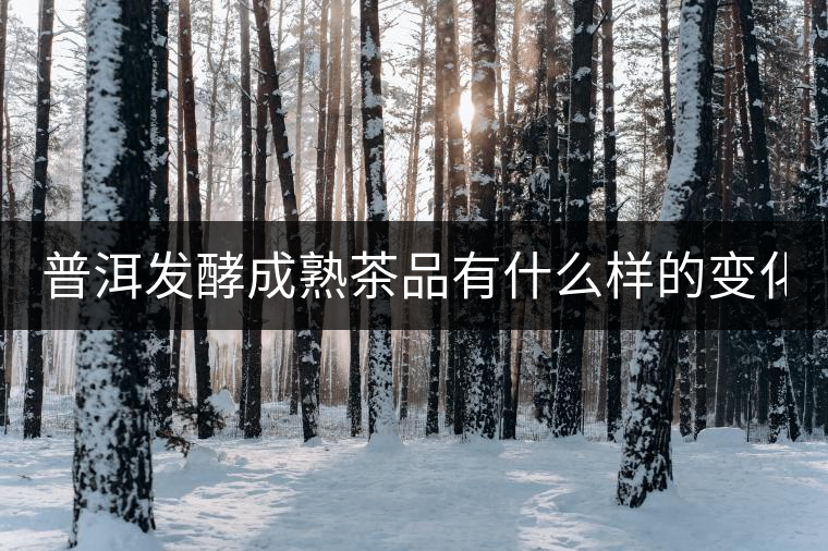 普洱發(fā)酵成熟茶品有什么樣的變化？