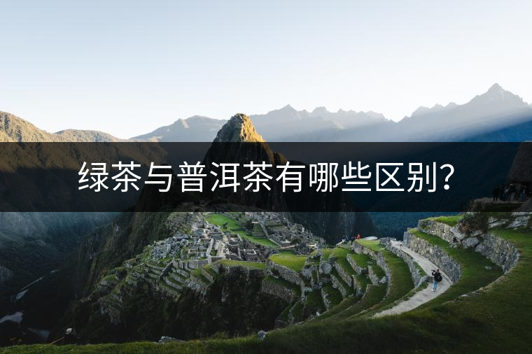 綠茶與普洱茶有哪些區(qū)別？