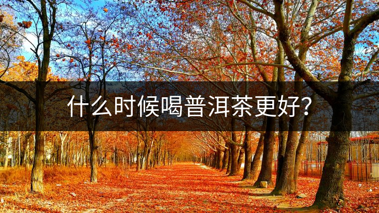 什么時候喝普洱茶更好？