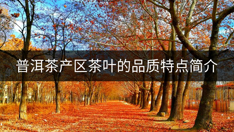 普洱茶產(chǎn)區(qū)茶葉的品質(zhì)特點(diǎn)簡(jiǎn)介 普洱茶產(chǎn)區(qū)茶葉的品質(zhì)特點(diǎn)簡(jiǎn)介