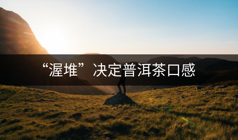 “渥堆”決定普洱茶口感 “渥堆”決定普洱茶口感