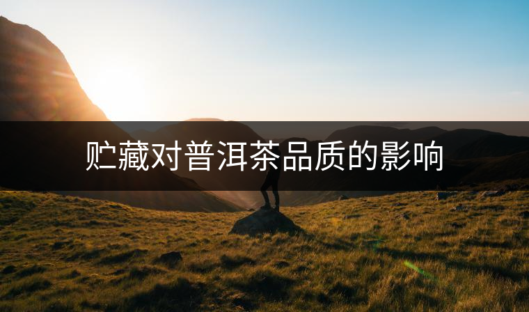 貯藏對普洱茶品質的影響 貯藏對普洱茶品質的影響