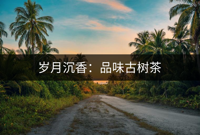 歲月沉香：品味古樹(shù)茶