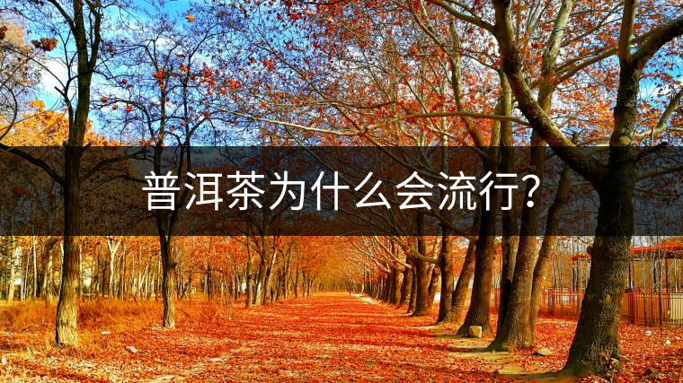 普洱茶為什么會(huì)流行？