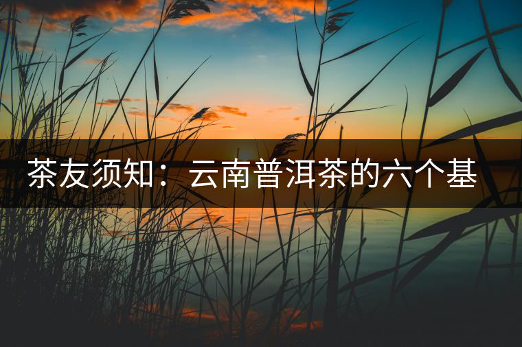 茶友須知：云南普洱茶的六個(gè)基本問(wèn)題