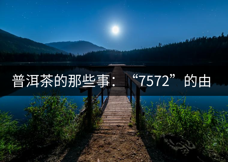 普洱茶的那些事:“7572”的由來 普洱茶的那些事:“7572”的由來