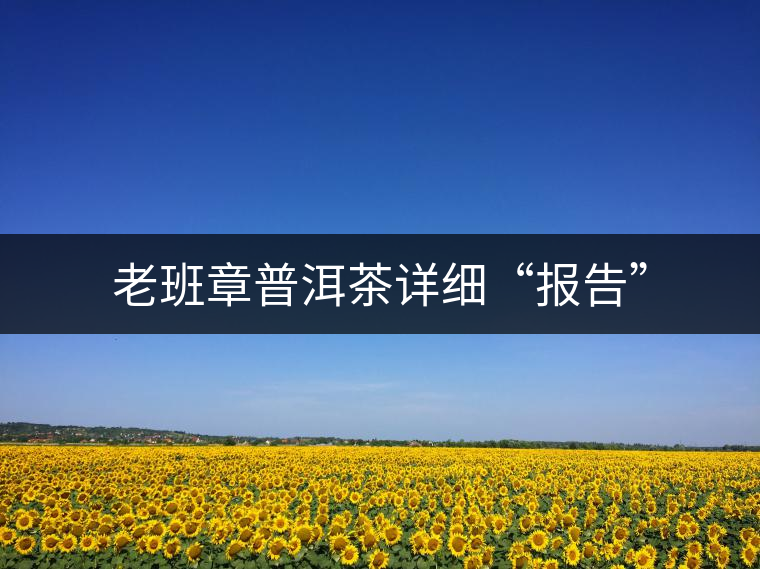 老班章普洱茶詳細(xì)“報告” 老班章普洱茶詳細(xì)“報告”