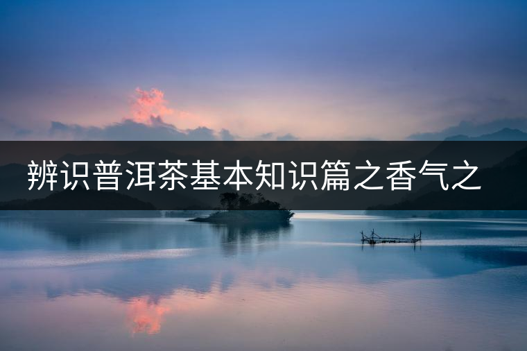 辨識(shí)普洱茶基本知識(shí)篇之香氣之辨 辨識(shí)普洱茶基本知識(shí)篇之香氣之辨