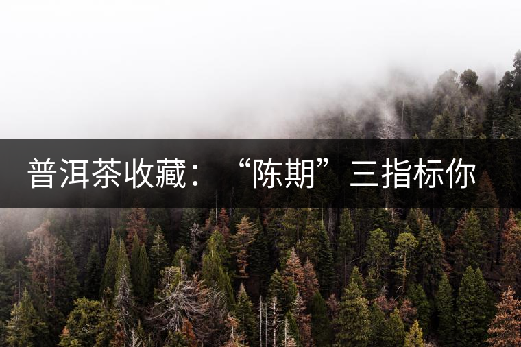普洱茶收藏：“陳期”三指標(biāo)你知道嗎？