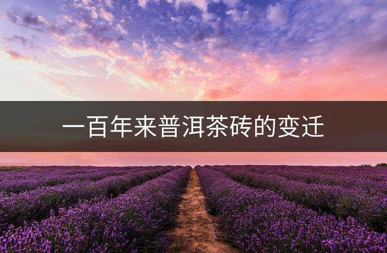 一百年來(lái)普洱茶磚的變遷
