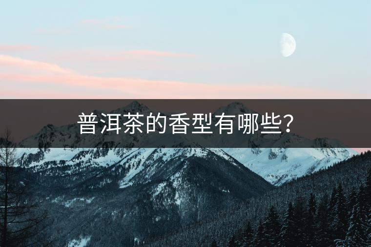 普洱茶的香型有哪些？