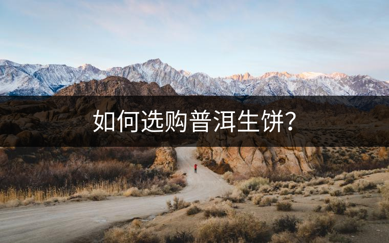 如何選購(gòu)普洱生餅？