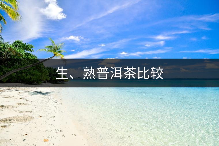 生、熟普洱茶比較