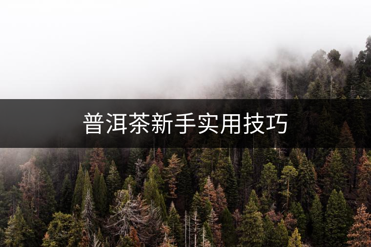 普洱茶新手實(shí)用技巧