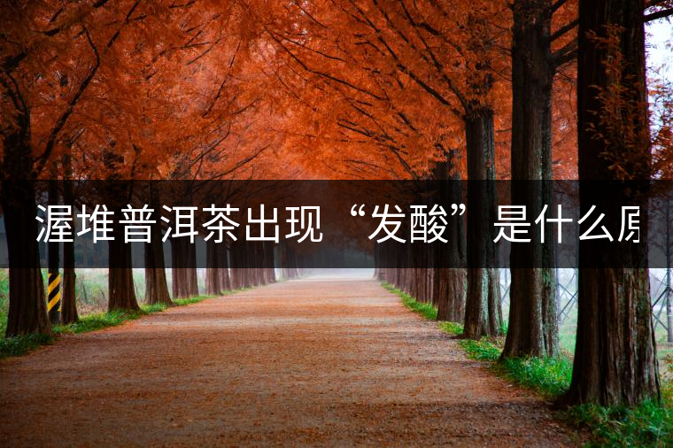 渥堆普洱茶出現“發(fā)酸”是什么原因？