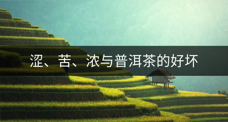 澀、苦、濃與普洱茶的好壞