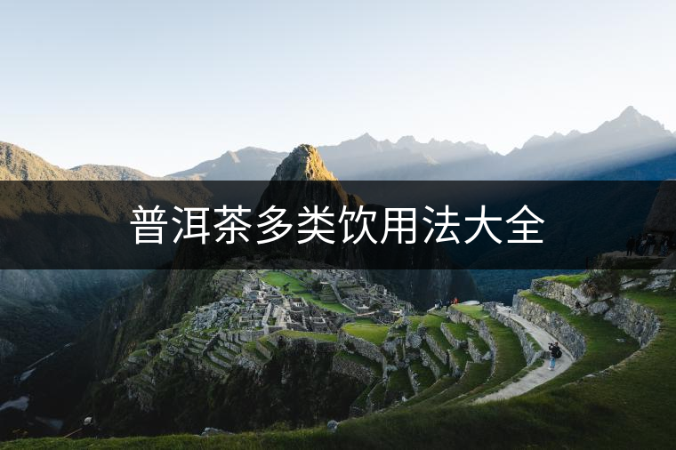 普洱茶多類飲用法大全 普洱茶多類飲用法大全