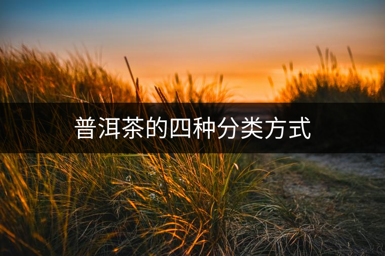 普洱茶的四種分類方式