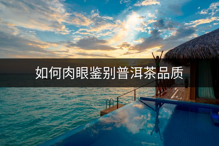 如何肉眼鑒別普洱茶品質(zhì) 如何肉眼鑒別普洱茶品質(zhì)