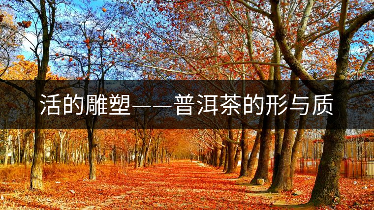 活的雕塑——普洱茶的形與質 活的雕塑——普洱茶的形與質