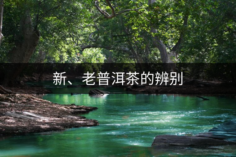 新、老普洱茶的辨別