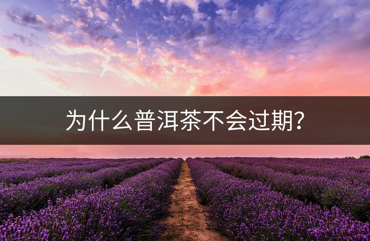 為什么普洱茶不會過期？