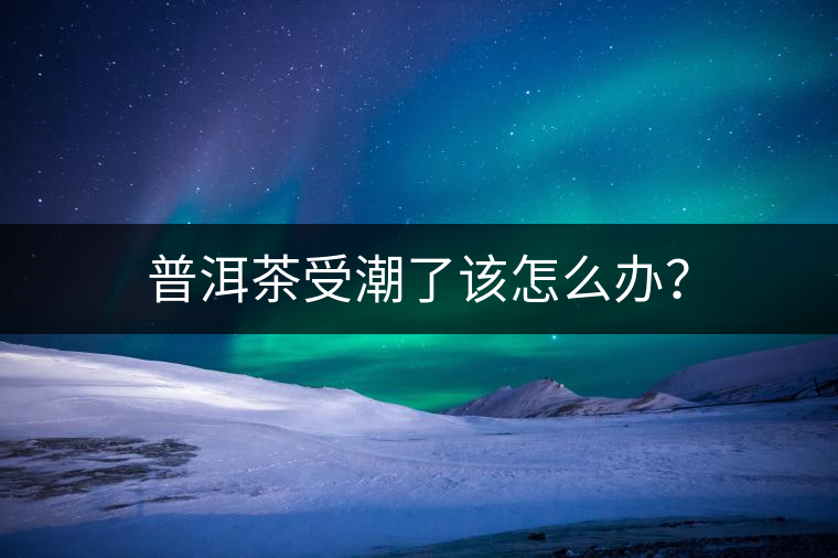 普洱茶受潮了該怎么辦？