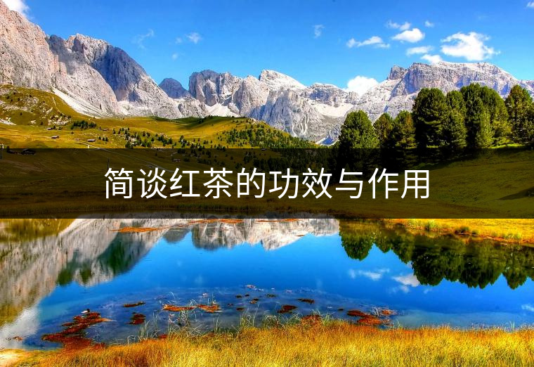 簡(jiǎn)談紅茶的功效與作用 簡(jiǎn)談紅茶的功效與作用