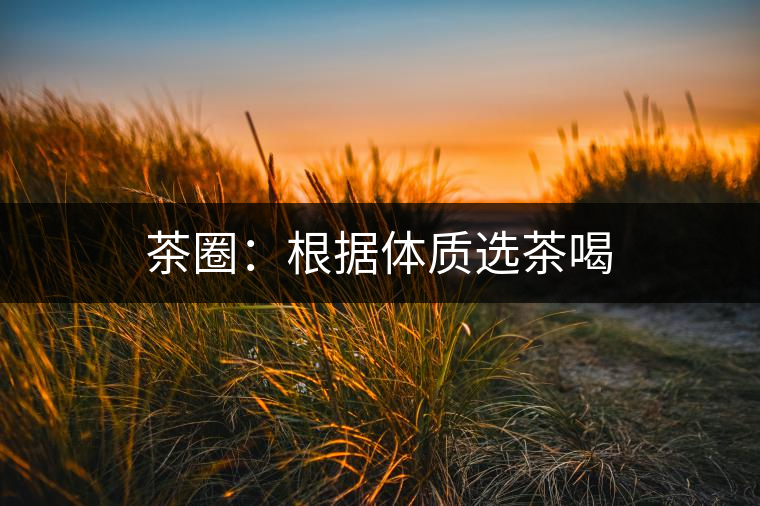茶圈：根據體質選茶喝