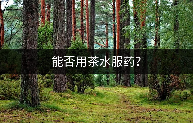 能否用茶水服藥？