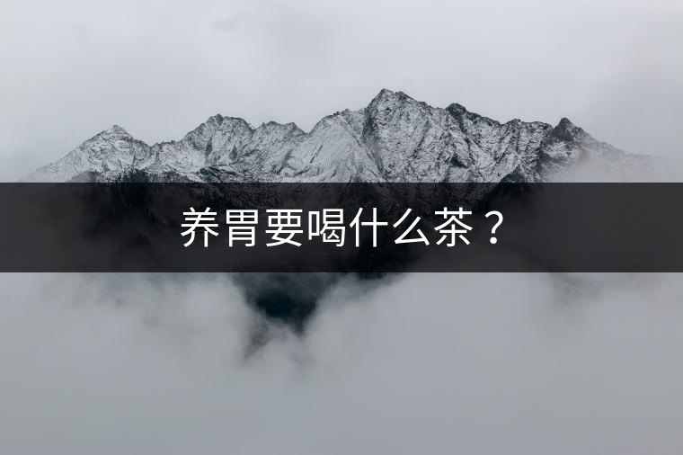養(yǎng)胃要喝什么茶 ？
