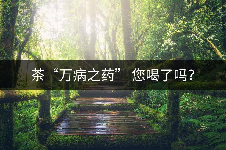 茶“萬(wàn)病之藥” 您喝了嗎？