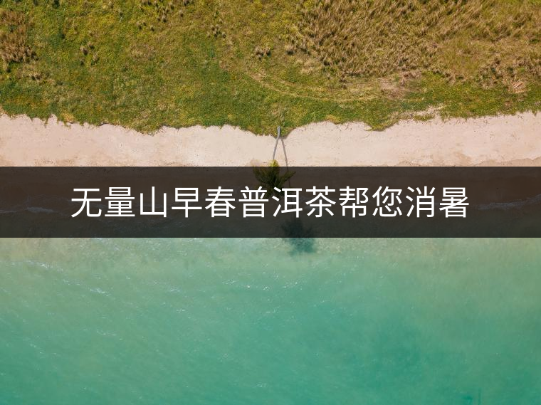 無(wú)量山早春普洱茶幫您消暑