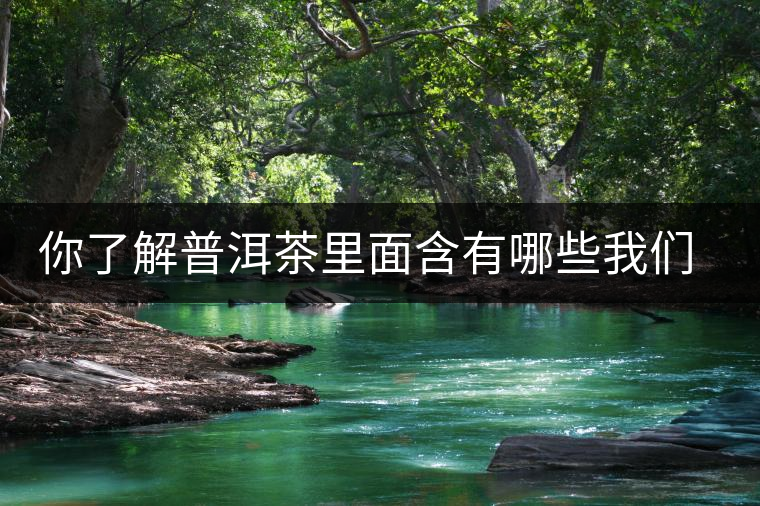 你了解普洱茶里面含有哪些我們?nèi)梭w必備的元素嗎？