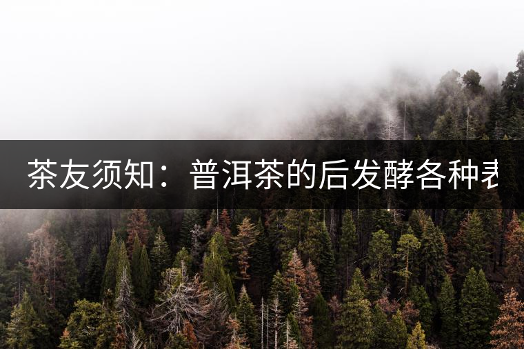 茶友須知：普洱茶的后發(fā)酵各種表現 喝普洱有益健康的奧妙所在！