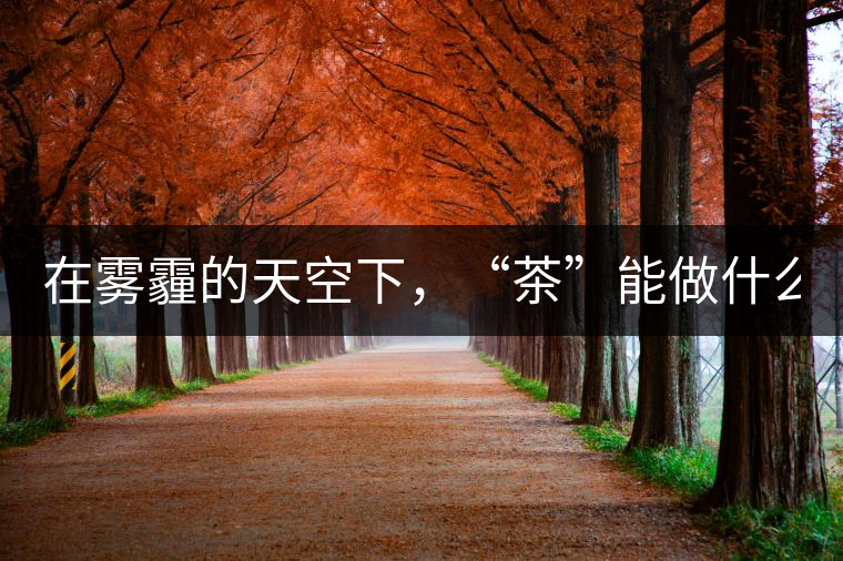 在霧霾的天空下，“茶”能做什么？