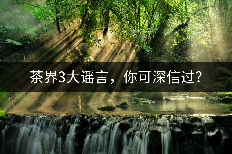 茶界3大謠言，你可深信過？