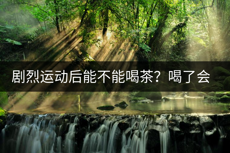 劇烈運動后能不能喝茶？喝了會有什么不適？