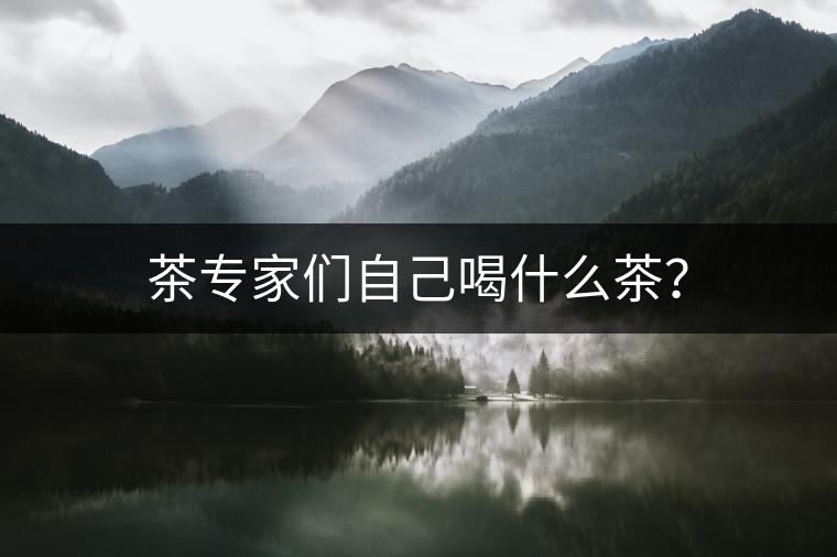 茶專家們自己喝什么茶？