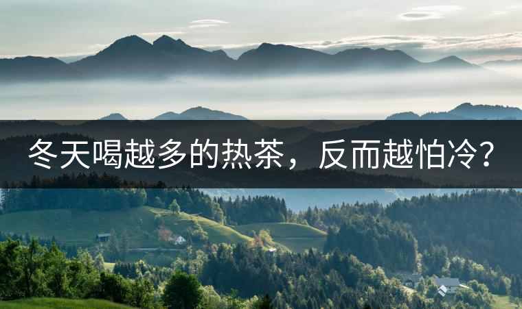 冬天喝越多的熱茶，反而越怕冷？
