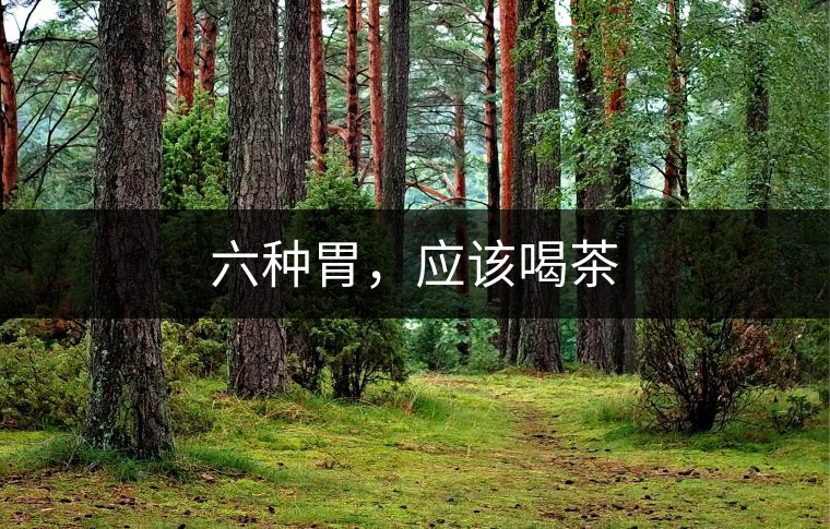 六種胃，應(yīng)該喝茶