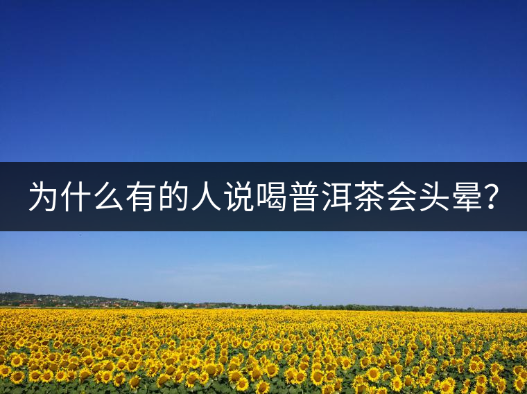 為什么有的人說(shuō)喝普洱茶會(huì)頭暈？