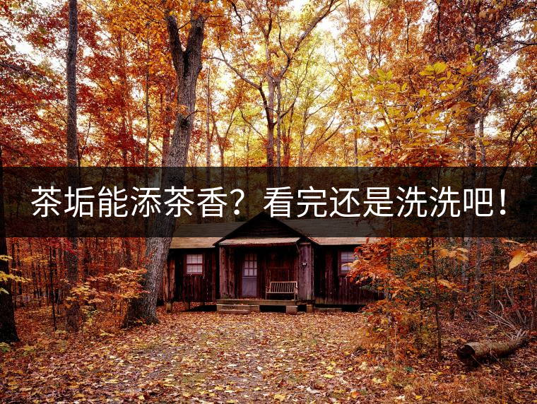 茶垢能添茶香？看完還是洗洗吧！