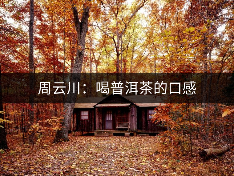 周云川：喝普洱茶的口感
