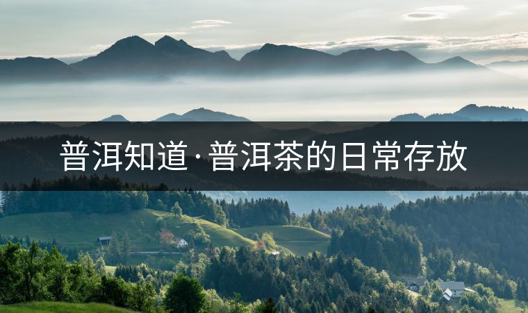 普洱知道·普洱茶的日常存放 普洱知道·普洱茶的日常存放