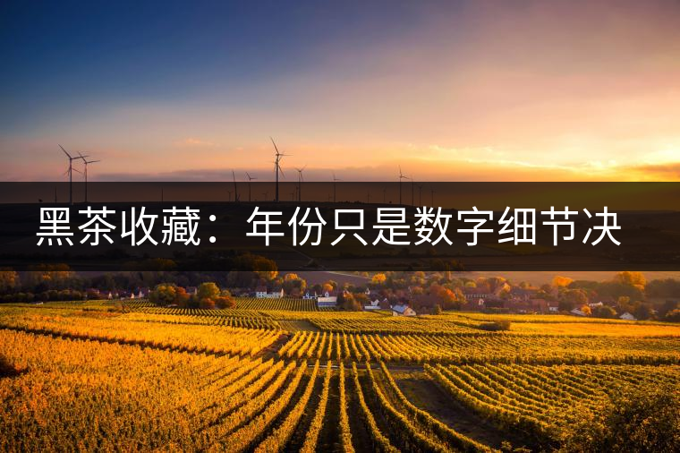 黑茶收藏:年份只是數(shù)字細(xì)節(jié)決定價(jià)值 黑茶收藏:年份只是數(shù)字細(xì)節(jié)決定價(jià)值