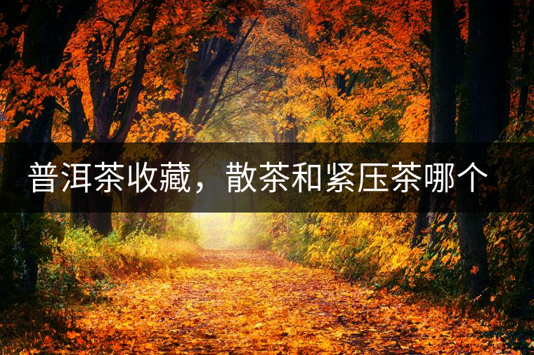 普洱茶收藏，散茶和緊壓茶哪個更好？