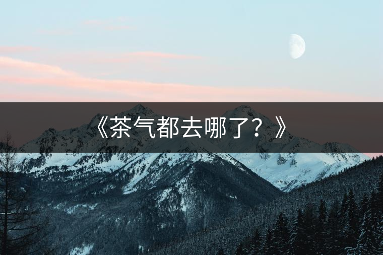 《茶氣都去哪了？》