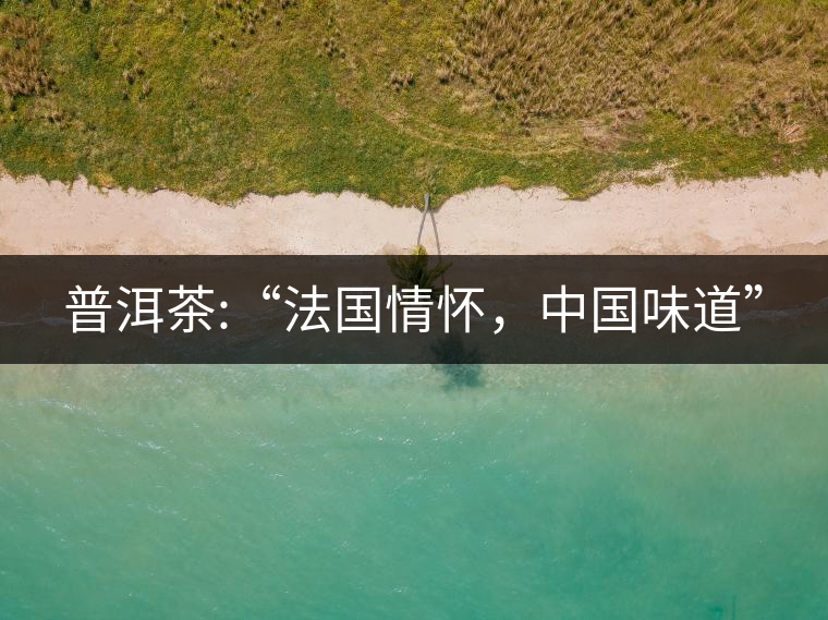 普洱茶:“法國情懷，中國味道”